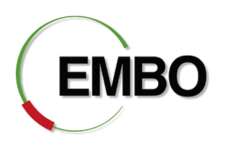 EMBO