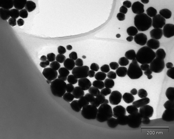 TEM image of AgPVP nanoparticles at 73,000x magnification