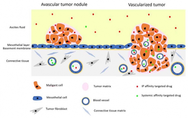 Review on affinity targeting of peritoneal carcinomatosis