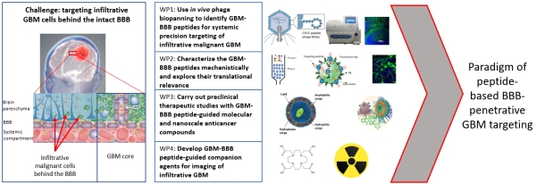 Success with our Estonian Research Council project &quot;Precision targeting of infiltrative glioblastoma&quot;