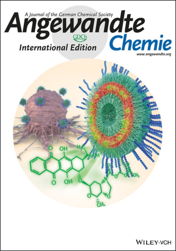 Agewandte  Chemistry cover on UTO-loaded nanotherapeutics development.