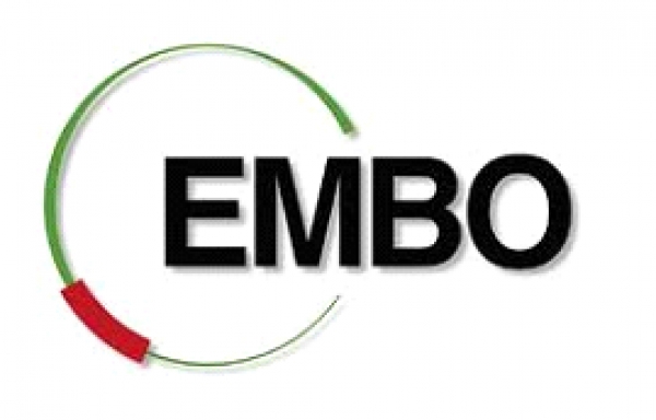 EMBO Cancer YIP meeting in Germany